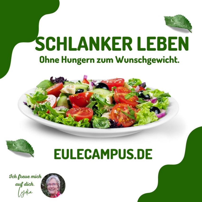Ein Teller mit frischen Salat auf einem Werbebild für den Schlanker Leben kurs.